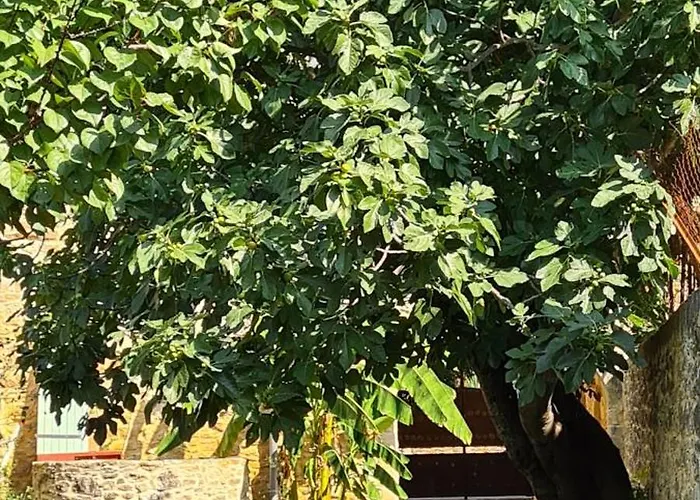 Apartment Du Bas Mas Sabran